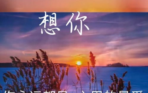 想你,今夜和你在梦里约会