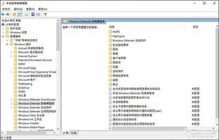 Windows野外mgdrcc全解析，教你快速上手配置秘诀