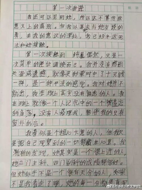 6年级作文惊艳众人,成年人感慨 现在的小学生文笔也太好了吧