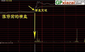 大智慧--流通盘大于1.5亿股，当天涨幅&lt;9.9%,DDX&gt;0.6的股票  如何选择