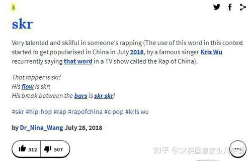 skr被收录在Urban Dictionary真的很skr吗 