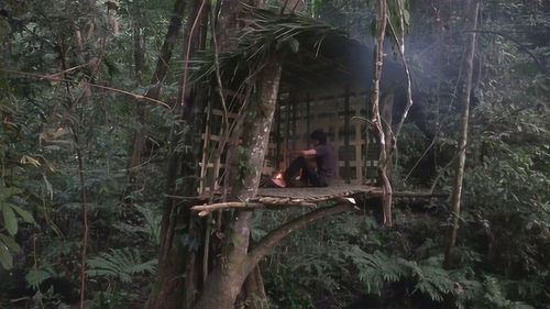 野外生存,丛林搭建树屋,遮风挡雨没问题 