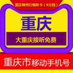 重庆神州行畅听卡 6元档 是什么意思 详解 