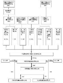 求教：全资子公司的权威定义