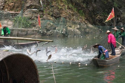 青海湖或秀江南,还有潮汕饕餮之旅,三条国内自驾游5天经典线路