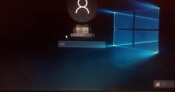 win10密码输入栏不显示不出来