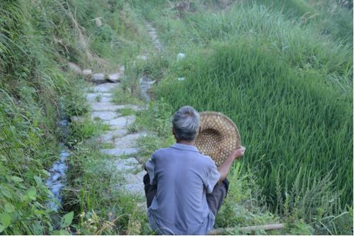 我们农民50多岁了，种田耕地力不从心了，每年开支该怎么办