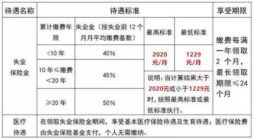 失业保险个人缴费比例是多少 (失业保险比例)