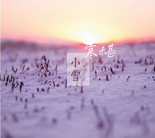 小雪将至,农谚 小雪不见雪,大雪漫天飞 ,小雪不下雪好不好