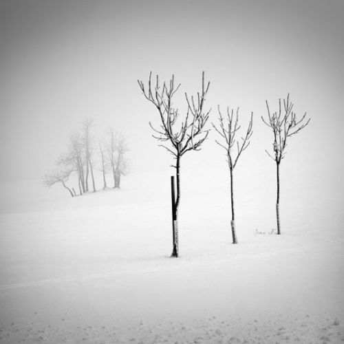 洛阳再迎降雪,小编送您冬日雪景拍摄技巧 