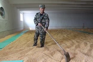 粮油保管员李振山 为全市人民守好 粮囤子 