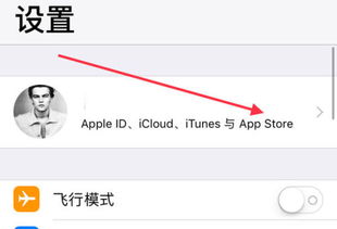 苹果Xappstore中怎么变回中文