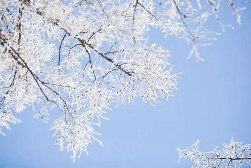 错过了故宫雪景,掌握这些拍摄技巧,照样拍出雪景大片即视感