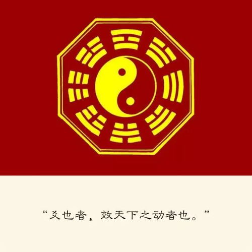 易中天解读 周易 第四期 太极生两仪,两仪生四象,四象生八卦