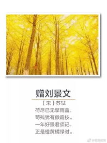 中国经典古诗词关于秋季的诗句