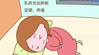 孕旅 堵奶硬块揉不开怎么办 堵奶如何疏通