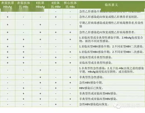 关于乙肝两对半最全的解释