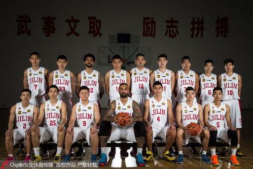 2015-2016cba排名