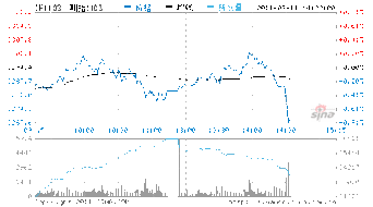 什么是股票？为什么日本地震它的股票回下跌那么大！