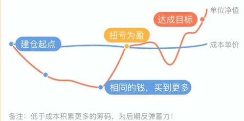 持仓成本低于净值为什么还亏