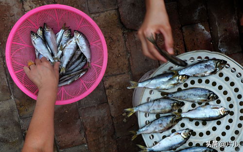 渔民越来越不愿吃海鲜的原因 有心酸也有无奈