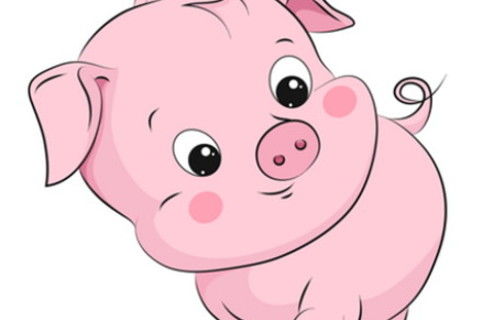 2019年属猪的人2021年运程男命女命 今年佩戴什么吉祥物好