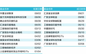 中国境内的QDII基金有几个？那几个？