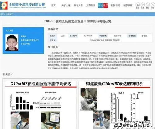 毕业论文,写出,有难度