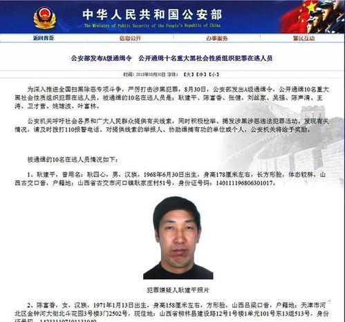 网上逃犯名单查询方法？网上在逃通缉犯名单有哪些