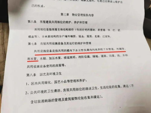 物业投标是总公司，签订合同变成分公司合法吗？