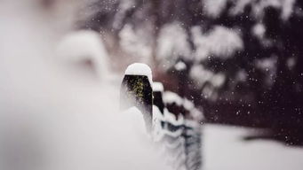 黑白励志—风花雪月励志语录？