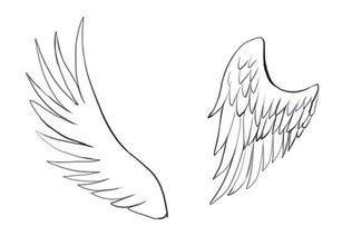 该如何去绘画翅膀 绘画翅膀需要注意什么