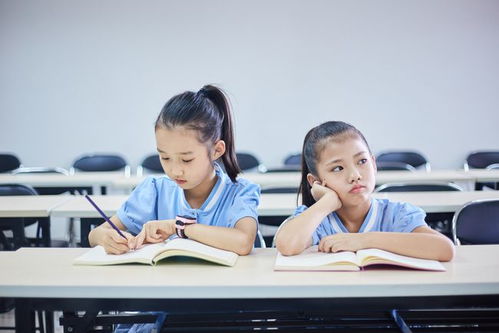 小学生因名字简单走红,连名带姓共2笔 网友大赞 好听又好用