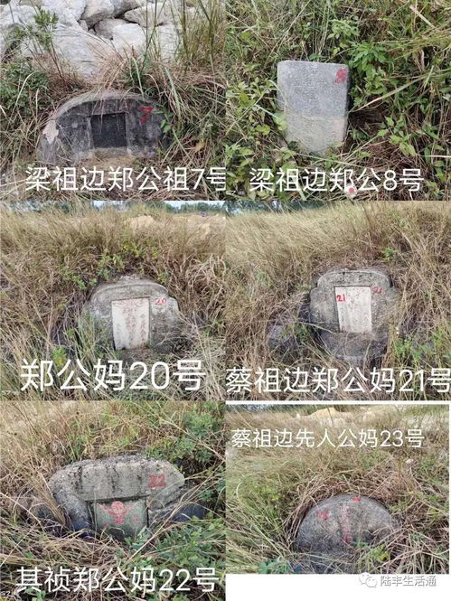 汕尾某社区这12处坟墓至今无人认领