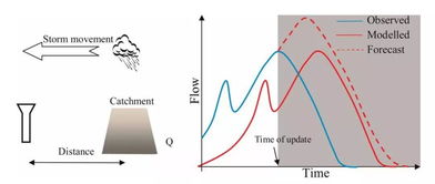 降雨预测偏差和时间不匹配对径流模型的影响