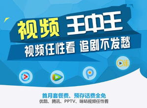 移动视频王中王卡申请链接 移动视频王中王卡怎么激活 移动视频王中王卡怎么办理 移动视频王中王卡怎么购买 清风手游网 