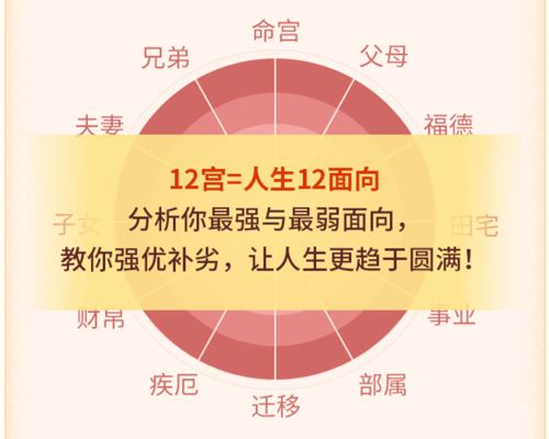 紫微命盘 看你一生12大方向命运走势