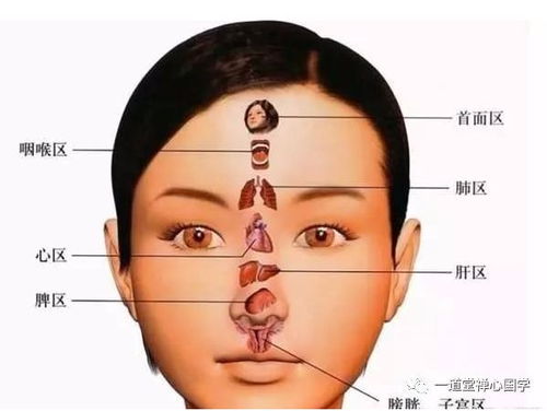 牛 几块钱即可 刷脸知未来 破解你事业财富 婚姻情感 健康气运密码