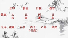 预测师通过算卦竟能做到隔空猜物 是真是假,4分钟就看明白了