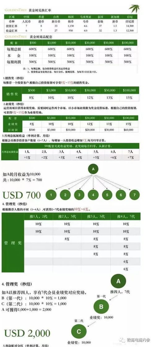 洋老板与vcb的关系