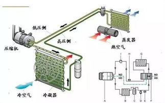 TOM网 新疆天汇华旭 