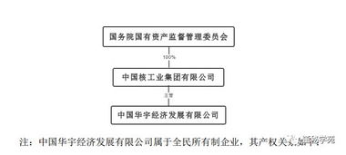 由单一法人出资，股权比例100%，而成立的公司，法人是另一自然人，实际控制人是谁?