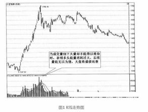 做股票到底是投资还是投机