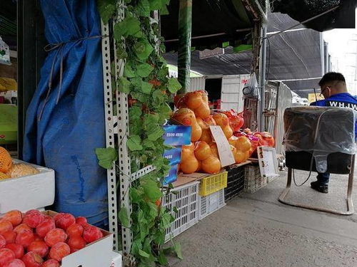 这一年,我在武汉 丨回访华南海鲜市场 一层海鲜区域封闭