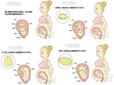怀孕九个月男胎儿图(9个月真实胎儿图片欣赏)