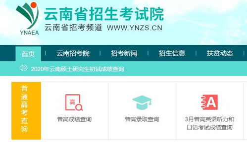云南招考频道入口登录，云南省招考频道网站