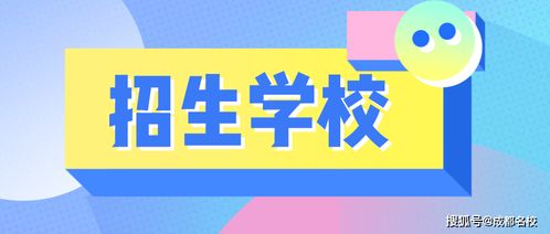 外地生可读 实外发布2020年小升初招生范围及计划