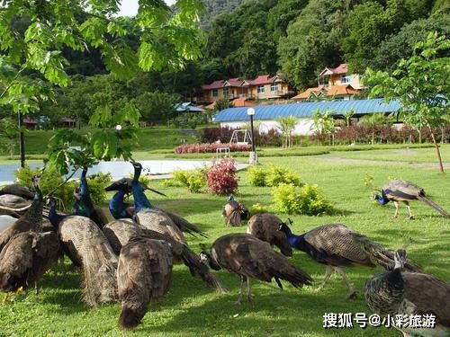 十二月份去云南旅游天气怎么样 十二月份去云南旅游合适吗