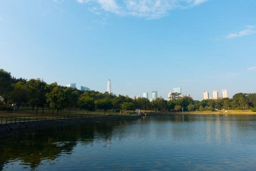 深圳中心公园要门票吗 