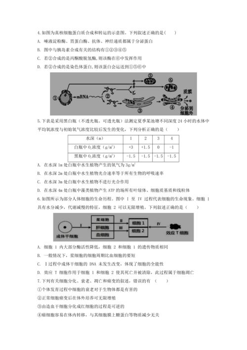 沁阳市第一中学高考榜